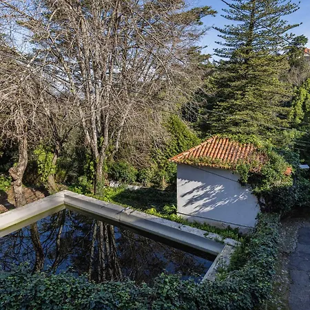 Wow Suites By Lovelystay * Sintra